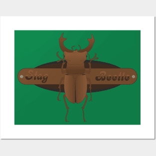 Stag beetle Posters and Art